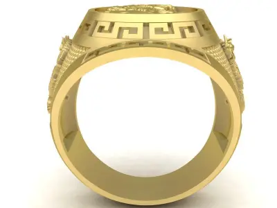 Luxury Tiger Dragon Signet Ring for Men 3655 3D print model