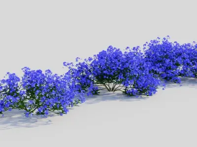 Lobelia erinus a 3D model