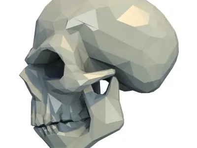 Skull Low Poly 3D print model