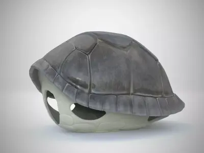 Turtle dirt gray shell Mock-up 3d Model 3D model