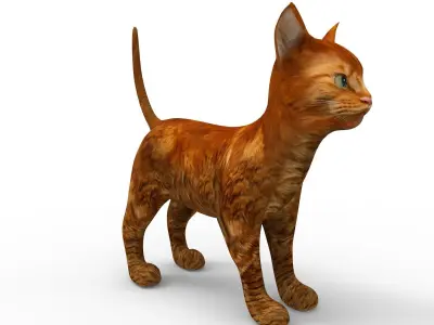 3d low poly Pet Cat Model Low-poly 3D model