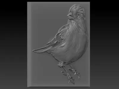 Birdd bird 3D print model