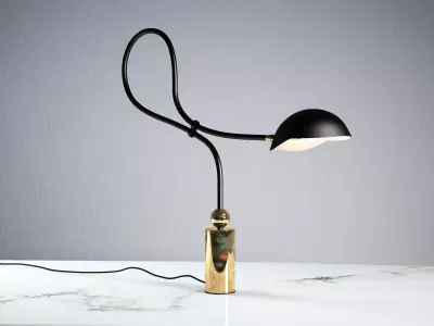 Curved Neck Table Lamp Free 3D model