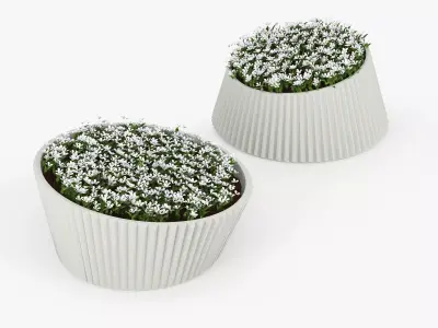 LENA Flowers 3D model