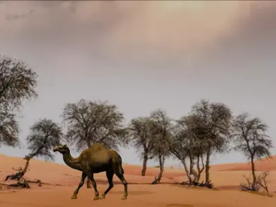 3D Rigged and Animated Arabian Camel Model Low-poly 3D model