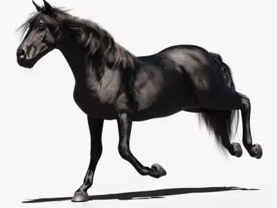 Black horse animated 3D model