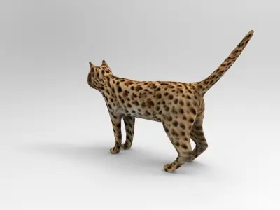 3D Wild Cat game ready low poly model  Low-poly 3D model