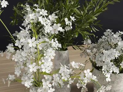 Plants Set three concrete vases with flowers 3D model