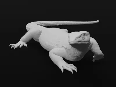 Ackie Monitor - Spiny Tailed Monitor - Lizard Reptile 3D Print 3D print model