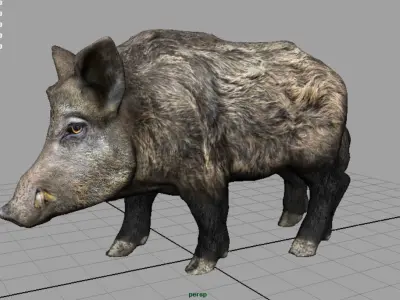Wild Boar Low-poly 3D model buy