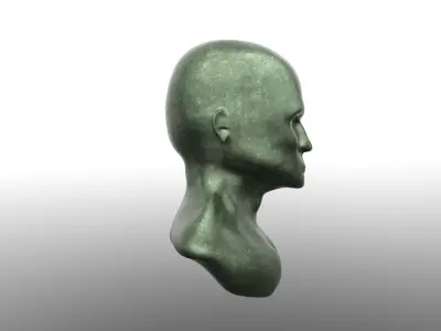 Corroded Bronze Head Free 3D model