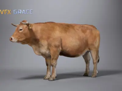 Cattle  UE Character Asset 3D model