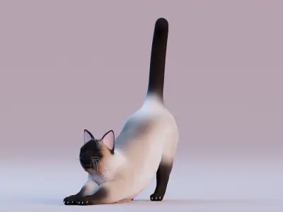 Low poly - Stylized cats - Siamese Cat Low-poly 3D model
