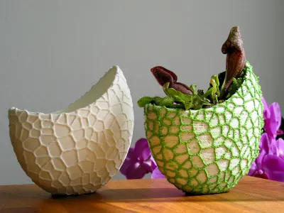 Organic 2-color flower pot - Voronoi Vase 3D print model