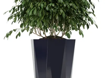 Plants collection 102 Awesomeplanters 3D model