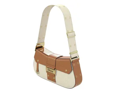Dior Street Chic Bag Brown Beige Fabric 3D model
