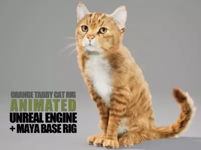 Cat Orange Tabby Animated UNREAL project  Maya base rig 3D model