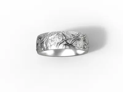 Ring Noise  3D print model