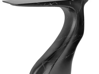 Modern Console Table Amorph Frolic 3D model