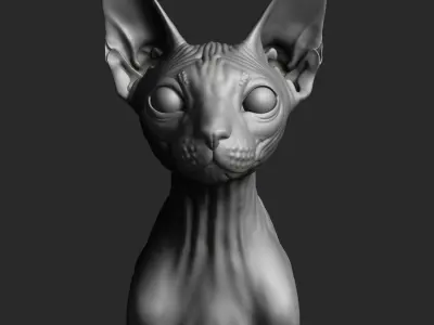 Sphynx Cat  3D model