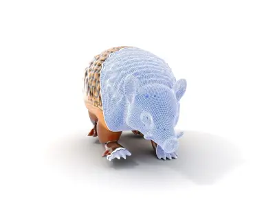 Armadillo Model Pack for D Rendering and Game Development Low-poly 3D model