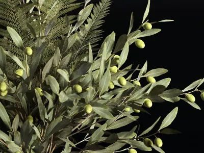 Plants Bouquet 3D model