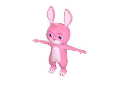  3D Cartoon Rabbit Model 3D model