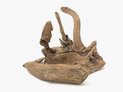 Old Wood Roots Low-poly 3D model