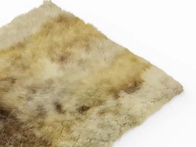 Soft Wool Rug 3D model