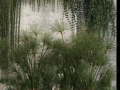 Garden And Tropical Flowerbed With Hanging Plants 3D model