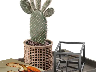 Coffee set 14 - tray pot cup books figurine plant pot  3D model