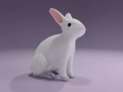 White Rabbit - Coelho Branco Low-poly 3D model