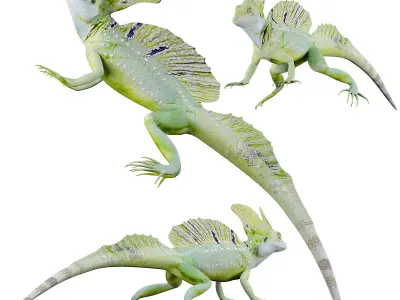 Reptile set two iguanas Low-poly 3D model