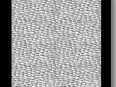 Hammered Finishing Texture 3D print model