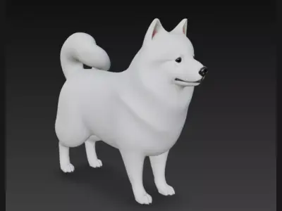 American Eskimo Dog 3D Model 3D model