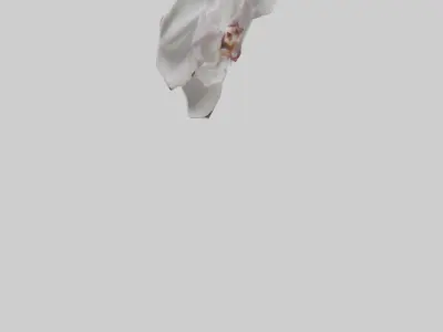 Orchid model 3D model