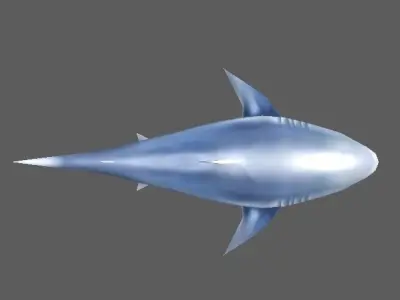 Shark Low-poly 3D model