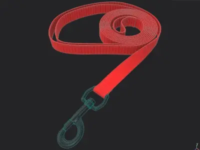 Pet Leash M03 Low-poly 3D model