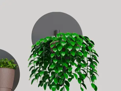 indoor collection plants 001 3D model