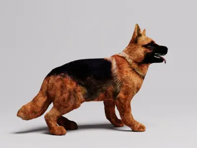 German Shepard 3D model
