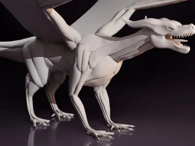 Anatomically accurate Dragon Base Mesh 3D model