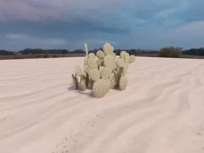 6 Free Cactus Models - Bunny Ears Cactus Free 3D model