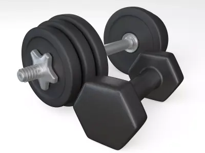 Dumbbells 3D model