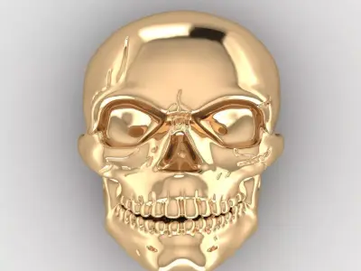 Skull 2 3D print model