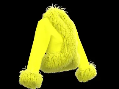 Feather jacket 3D model