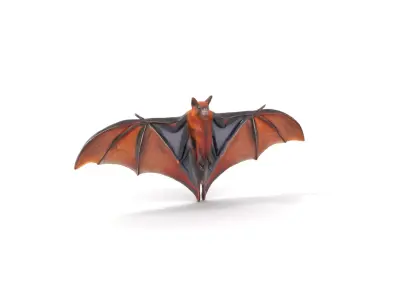 Golden Winged Bat model pack Low-poly 3D model