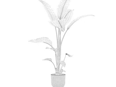 Strelitzia in modern flower pot 3D model