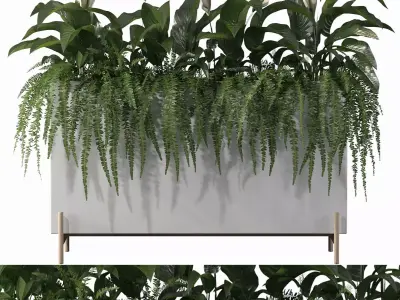 office plants 3D model