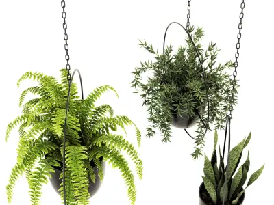 Collection of plants-002 3D model