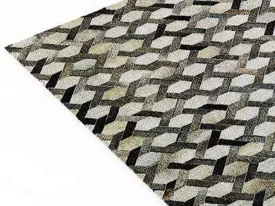 Restoration Hardware Link Cowhide Rug 3D model